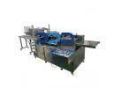 Automatic Medical Plaster Packaging Machine - PPD-MAPP60